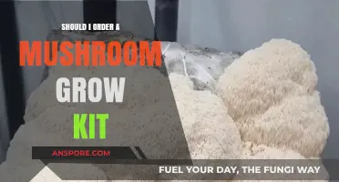 Should You Order a Mushroom Grow Kit? Pros, Cons, and Tips
