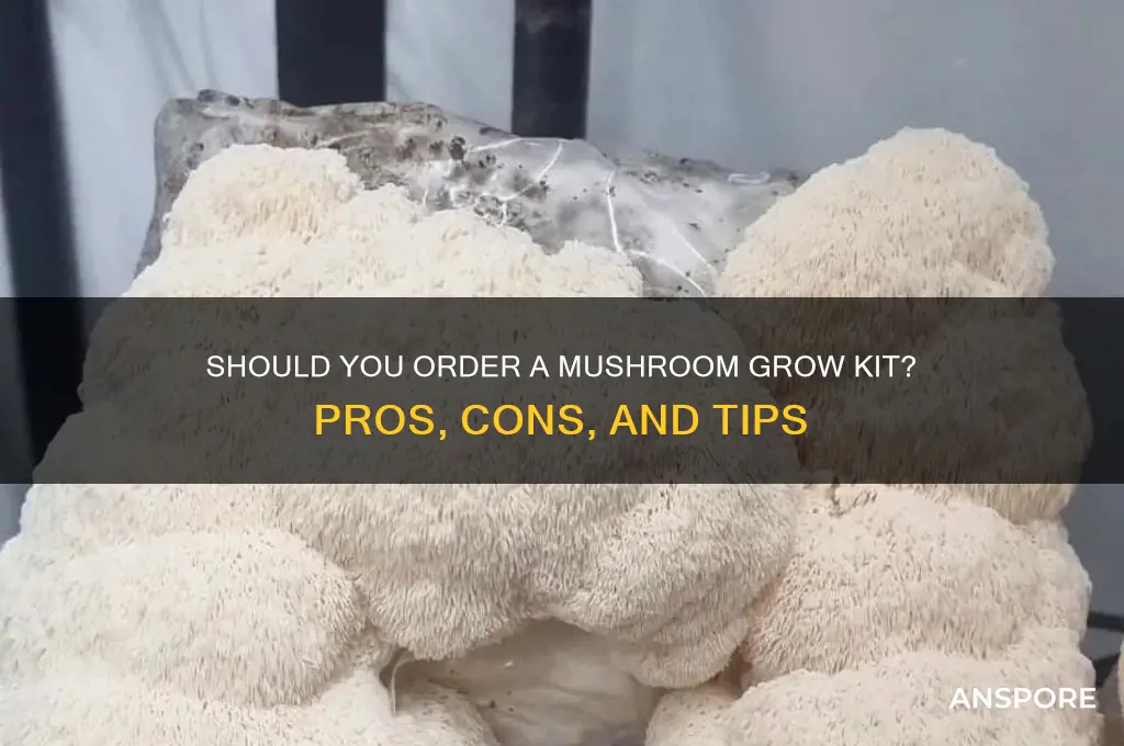 should i order a mushroom grow kit