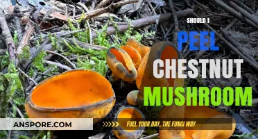 Peeling Chestnut Mushrooms: Is It Necessary?