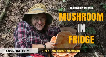 Foraged Mushrooms: Fridge Storage Tips for Freshness and Safety