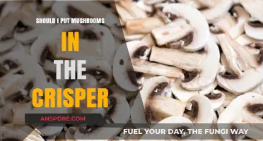 Crisper or Not? The Best Way to Store Mushrooms for Freshness