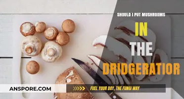 Should You Use a Dehydrator for Mushrooms? Pros and Cons Explained