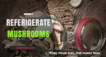 The Mushroom Conundrum: Fridge or Pantry?