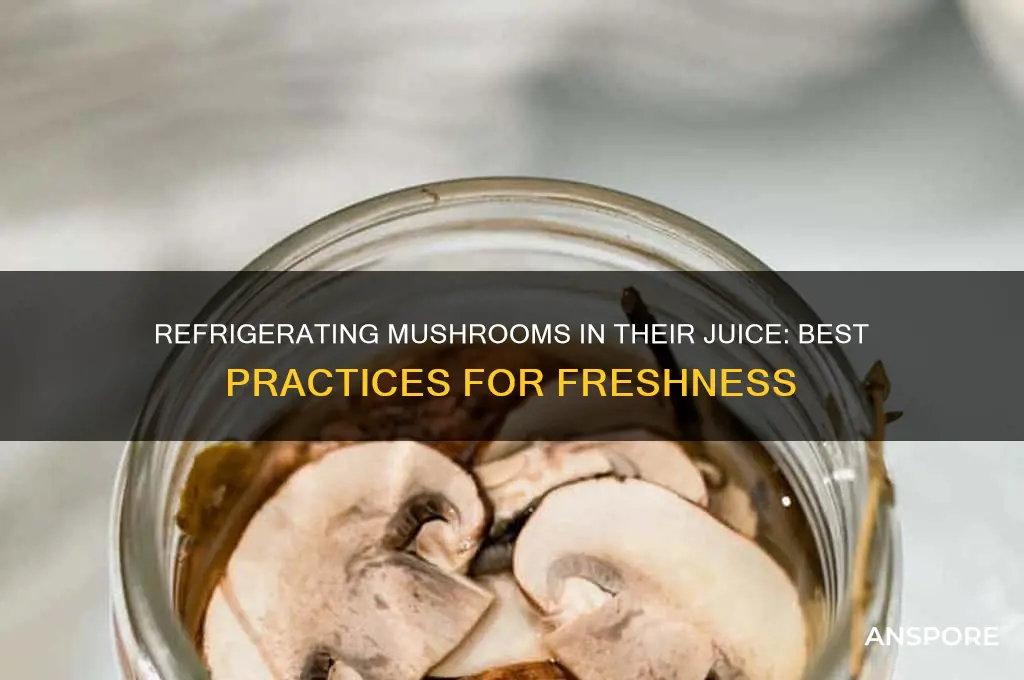should i refrigerate mushrooms in their juice