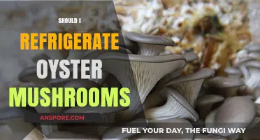 The Best Way to Store Oyster Mushrooms
