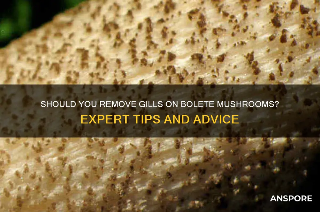 should i remove gills on bolete mushroom