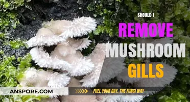 How to Prepare Mushrooms: To Gill or Not to Gill?