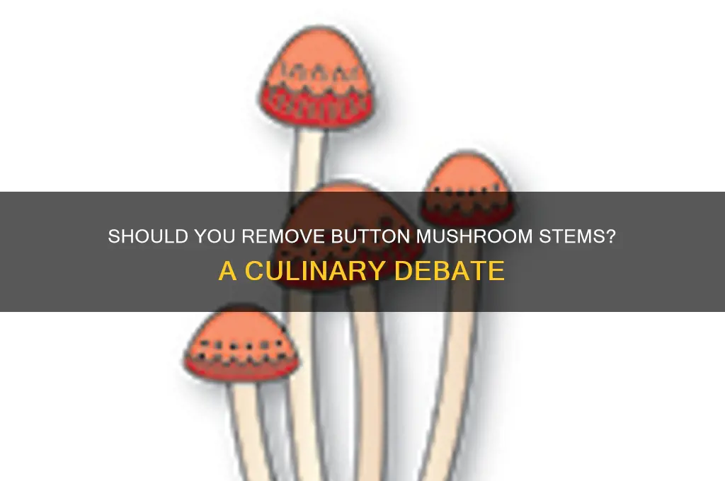 should i remove the stems on a button mushrooms