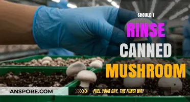 Should You Rinse Canned Mushrooms? A Quick Guide to Prepping