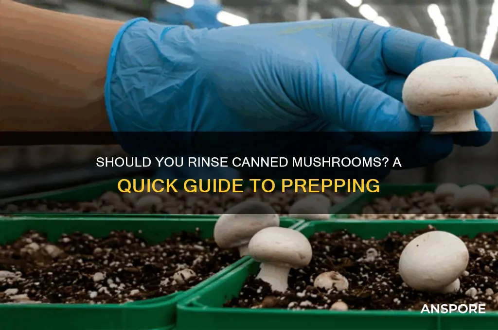 should i rinse canned mushrooms