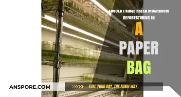 Should You Rinse Fresh Mushrooms Before Storing in Paper Bags?