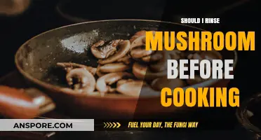 Should You Rinse Mushrooms Before Cooking? Expert Tips and Advice