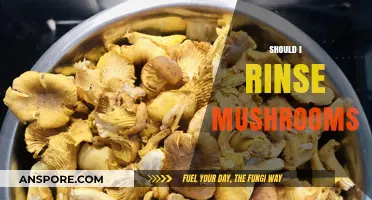 The Ultimate Guide: Rinsing Mushrooms