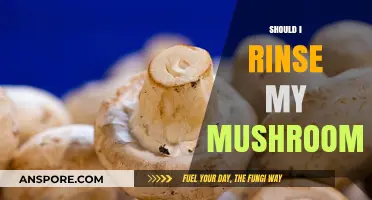 The Ultimate Guide: To Rinse or Not to Rinse Mushrooms