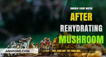 Rehydrating Mushrooms: Should You Save the Water for Cooking?