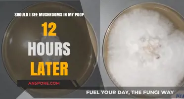 Mushrooms in Poop: Should You See Them 12 Hours Later?