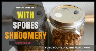 Shaking Spore Jars: Best Practices for Shroomery Cultivation Success