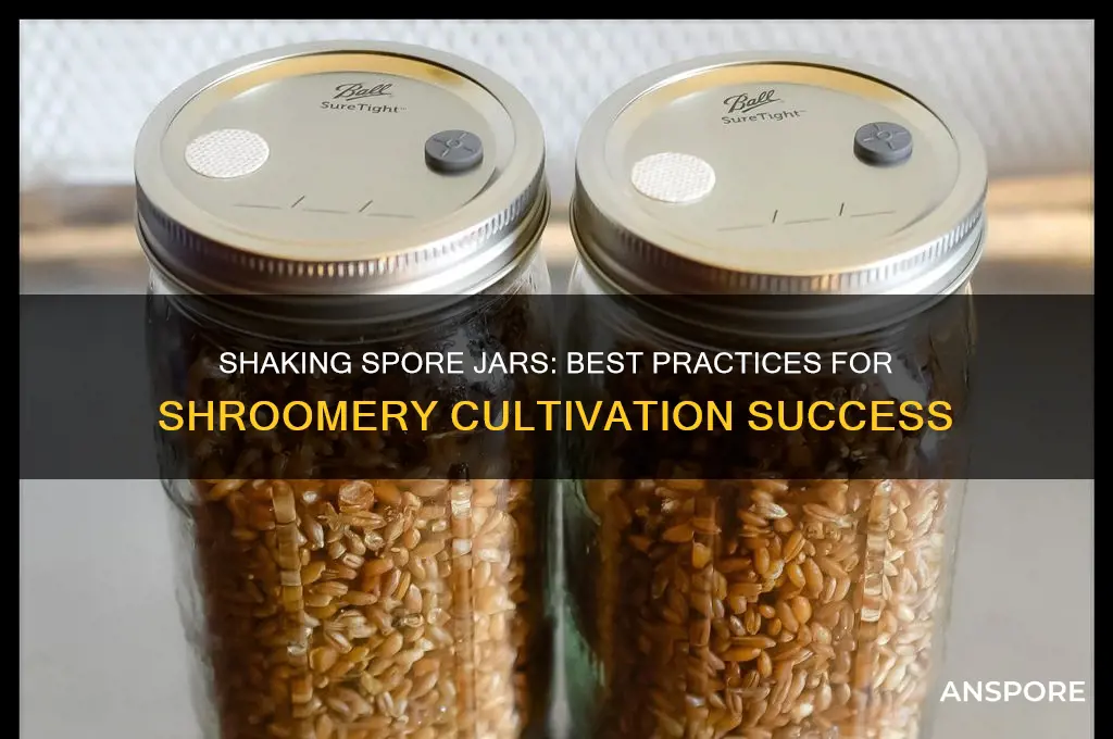 should i shake jars with spores shroomery