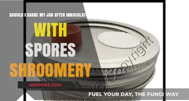 Shaking After Inoculation: Best Practices for Mushroom Spores in Jars