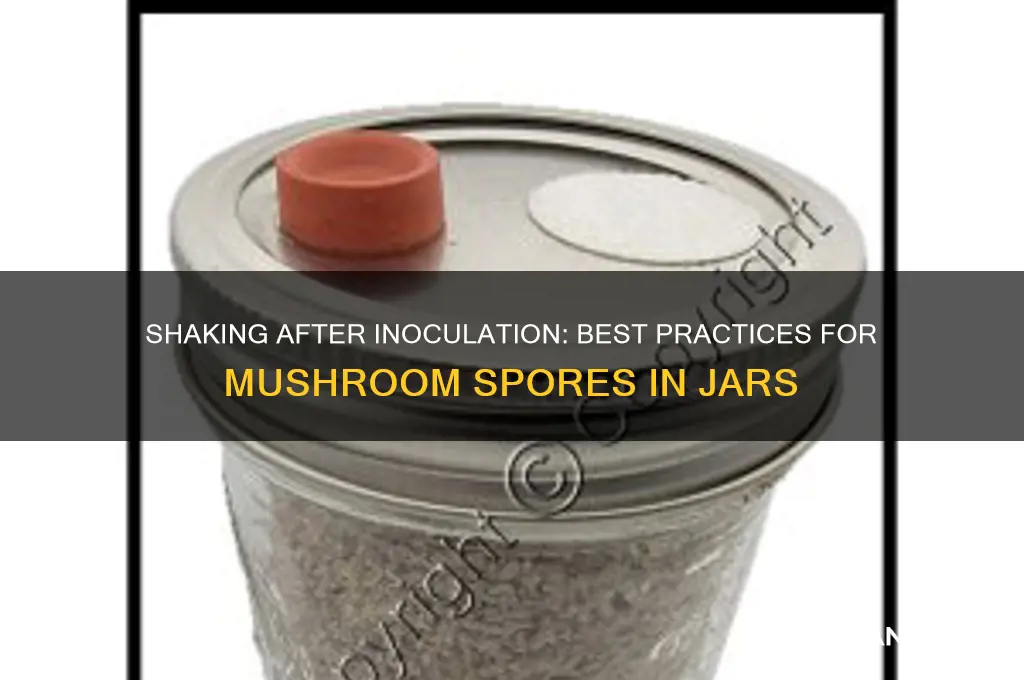 should i shake my jar after innoculation with spores shroomery