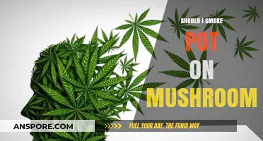 Mixing Cannabis and Psilocybin: Risks, Effects, and What to Know