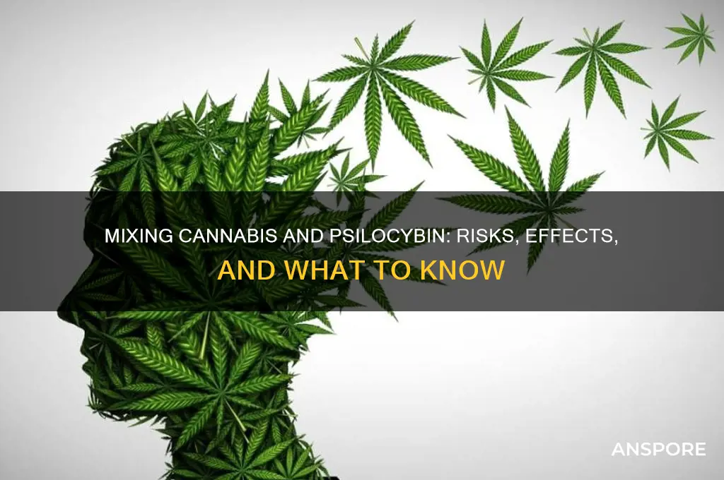 should i smoke pot on mushrooms