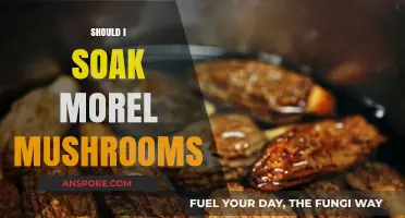 Should You Soak Morel Mushrooms? Tips for Perfect Preparation