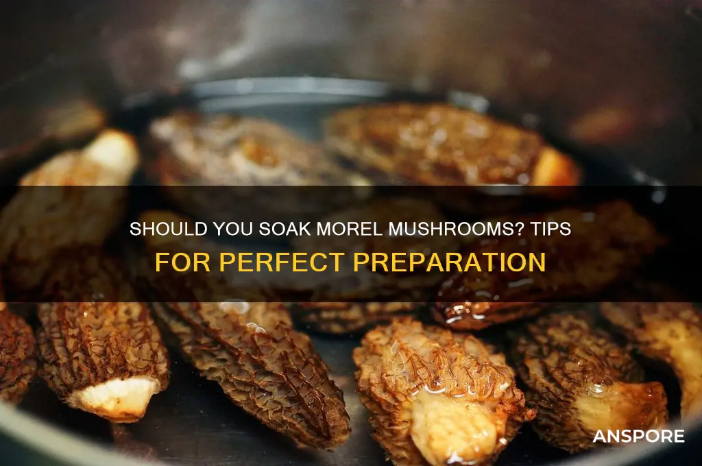 should i soak morel mushrooms