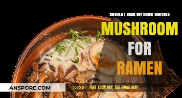 Should You Soak Dried Shiitake Mushrooms for Ramen? Tips & Tricks