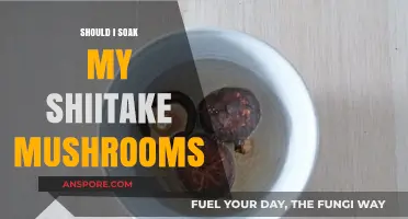 Should You Soak Shiitake Mushrooms? A Quick Guide to Prepping