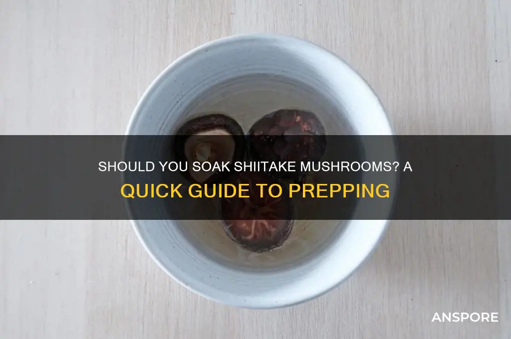 should i soak my shiitake mushrooms