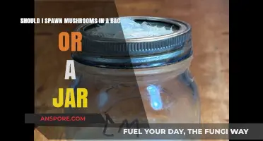 Bag vs. Jar: Best Container for Spawning Mushrooms at Home