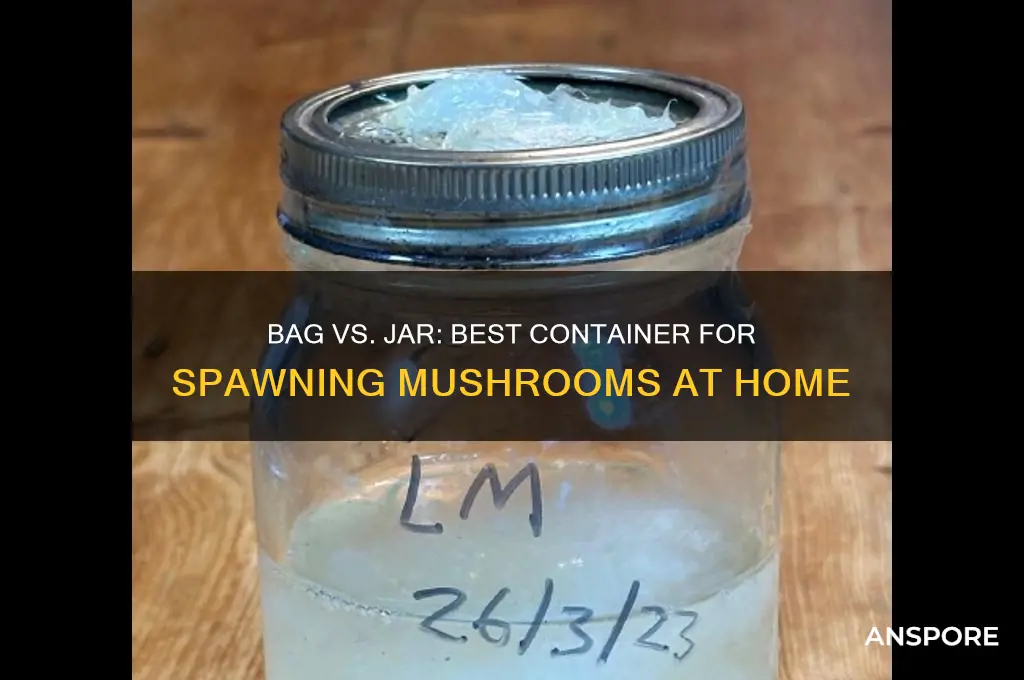 should i spawn mushrooms in a bag or a jar