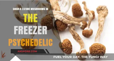 Freezing Psychedelic Mushrooms: Best Storage Method or Risky Move?