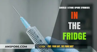 Storing Spore Syringes: Fridge or Not? Expert Tips Inside