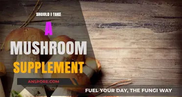 Mushroom Supplements: Benefits, Risks, and Should You Try Them?