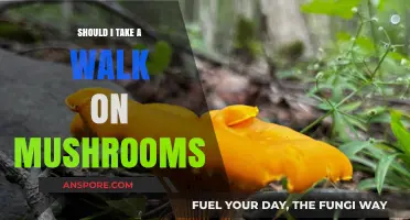 Walking on Mushrooms: Benefits, Risks, and What to Expect