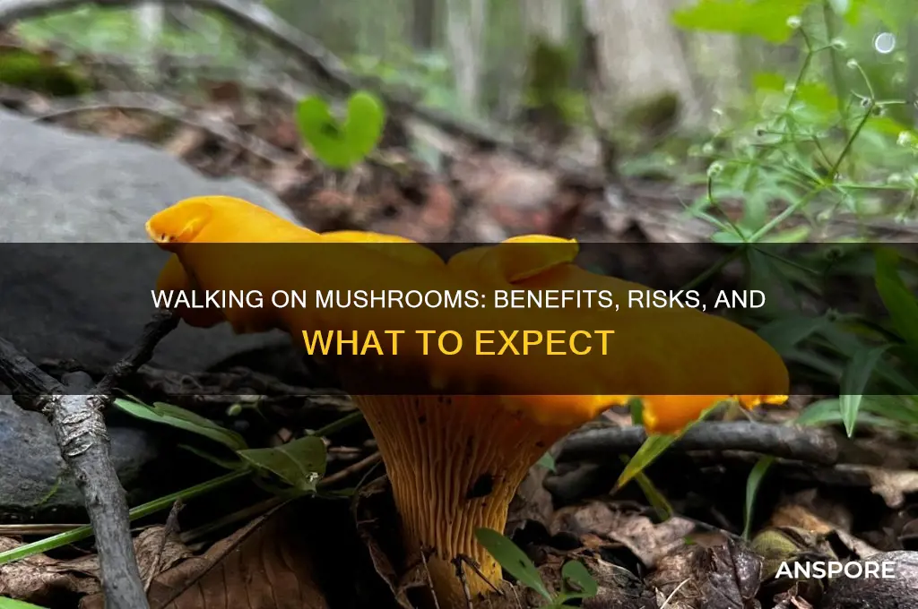 should i take a walk on mushrooms