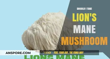 Lion's Mane Mushroom Benefits: Should You Add It to Your Routine?