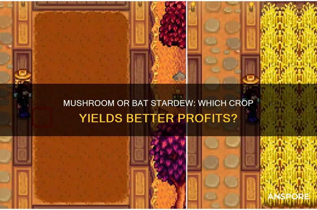 should i take mushroom or bats stardew