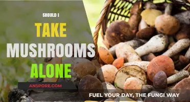 Mushroom Tripping: Alone or With Company?