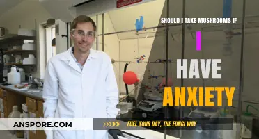 Mushrooms and Anxiety: Exploring the Risks and Potential Benefits