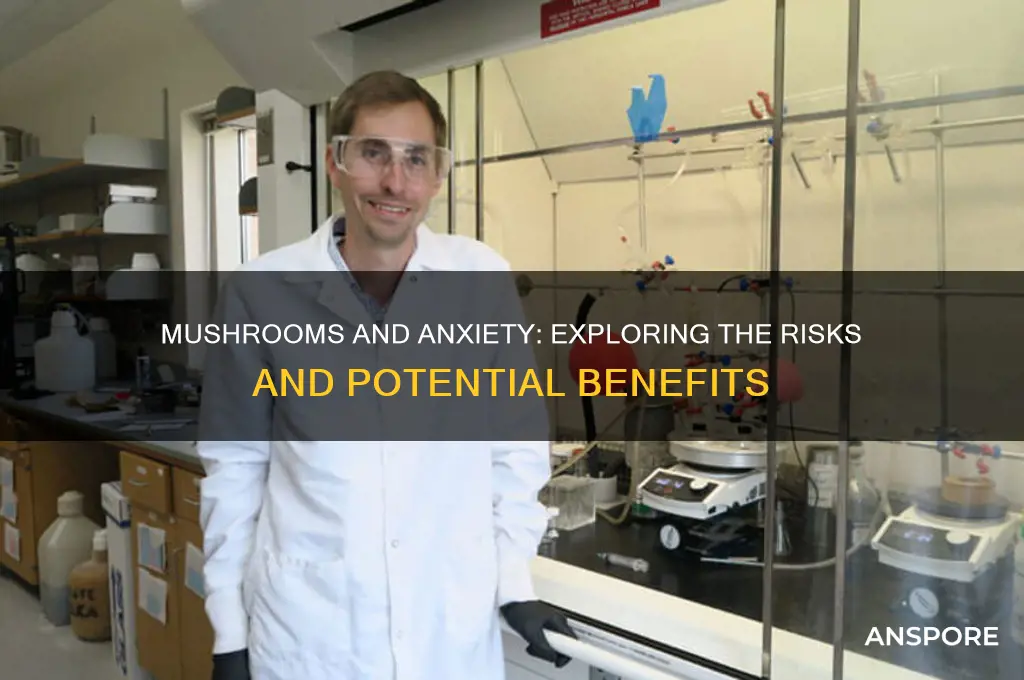 should i take mushrooms if i have anxiety