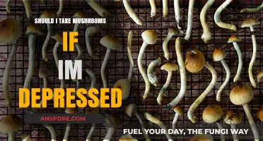 Mushrooms for Depression: Risks, Benefits, and What You Need to Know