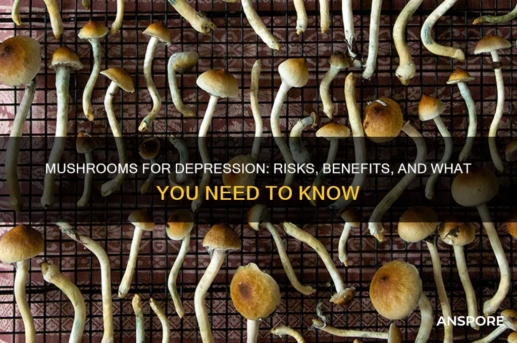 should i take mushrooms if im depressed