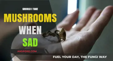 Exploring Mushrooms for Sadness: Risks, Benefits, and What to Know