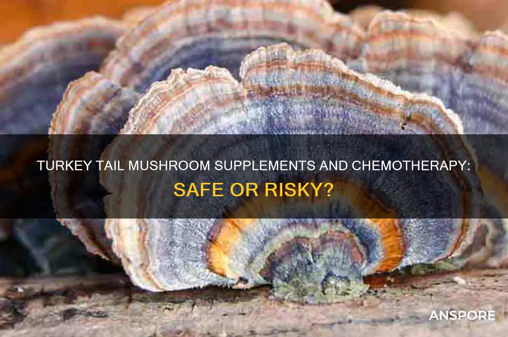 should i take turkey tail mushroom supplements while undergoing chemotherapy