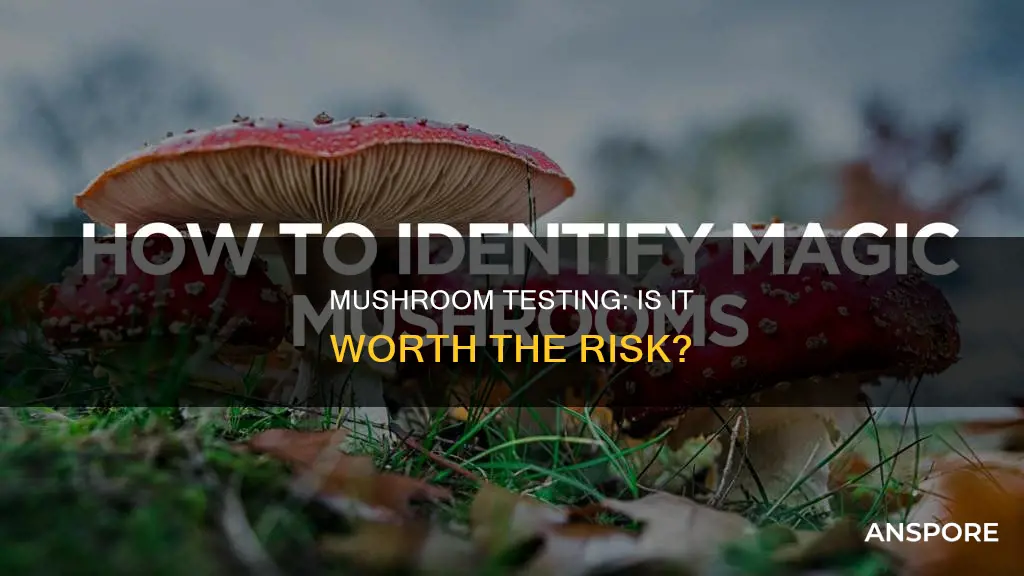 should i test mushrooms