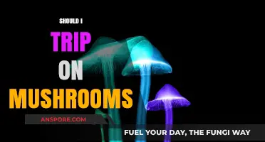 Exploring the Mind: Should You Trip on Mushrooms?