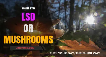 Exploring Psychedelics: LSD vs. Mushrooms – Which Should You Try?